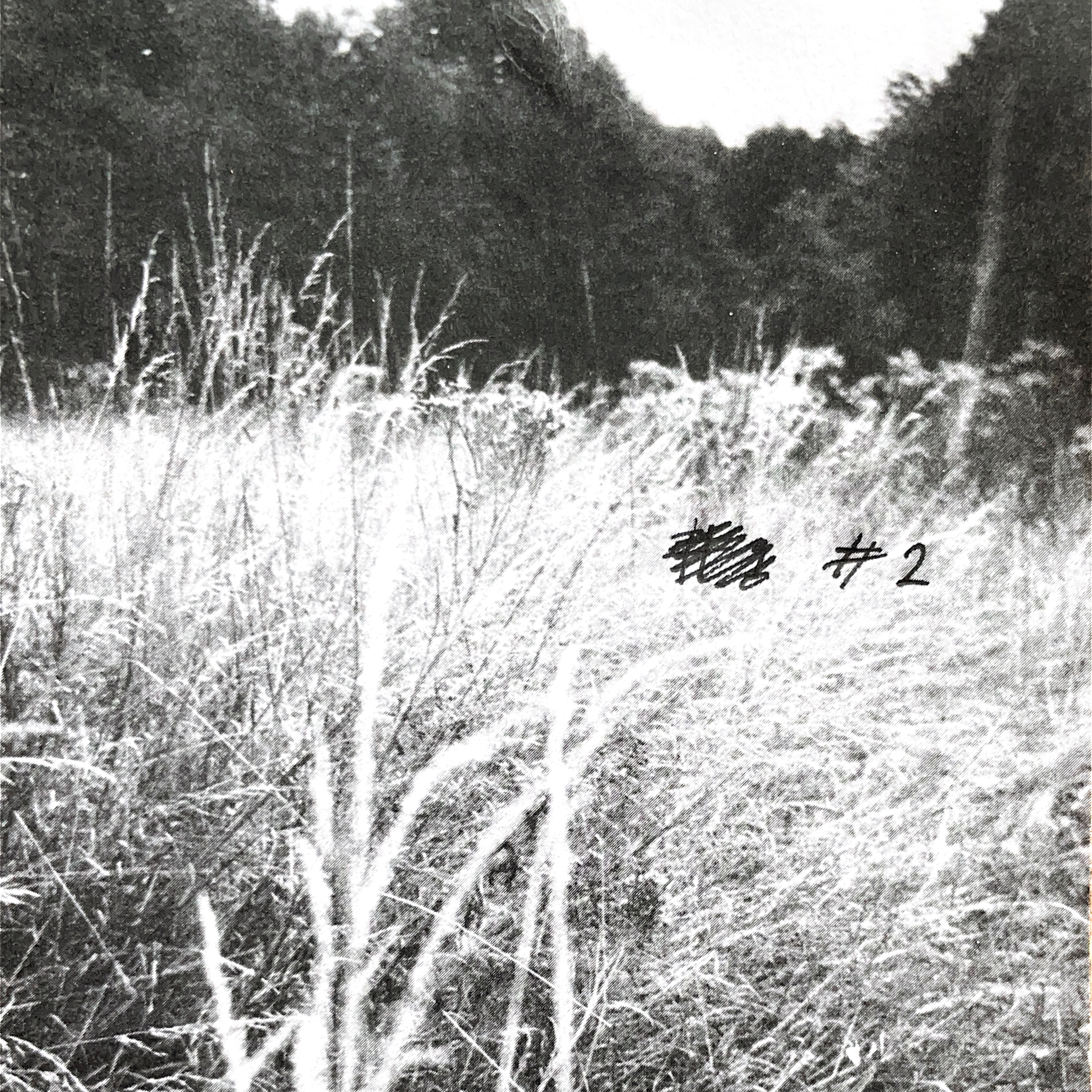 paradise lost, episode 10 show image