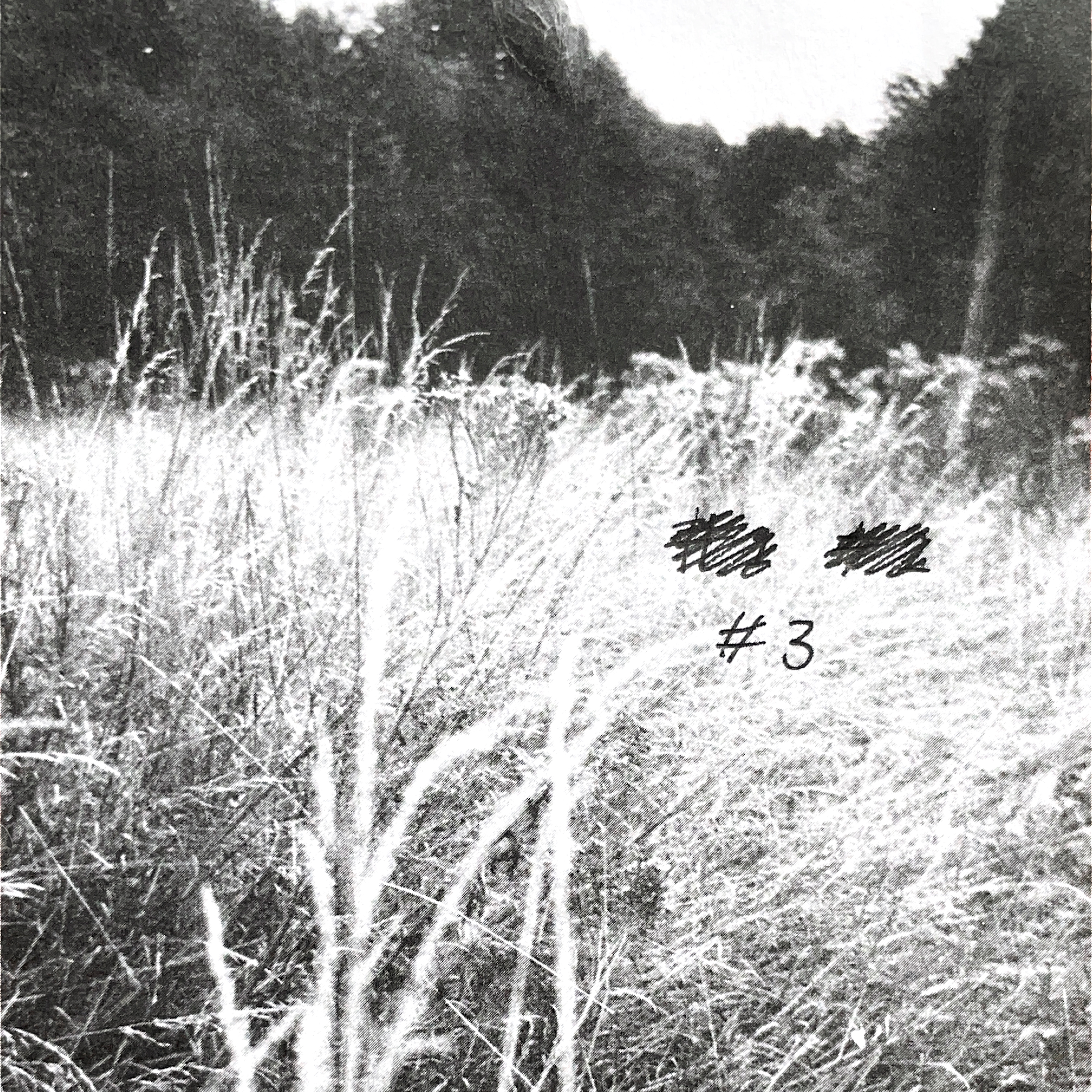 paradise lost, episode 12 show image