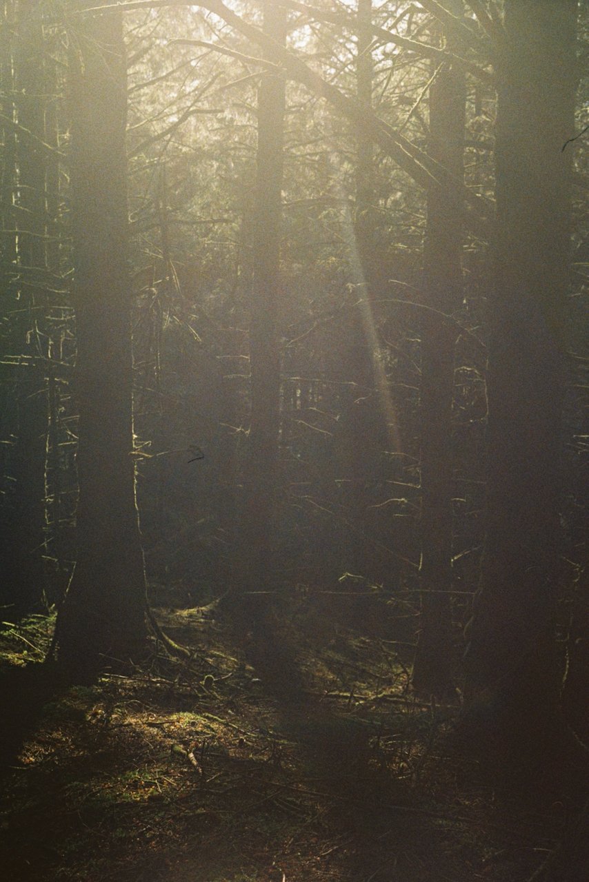 paradise lost, episode 13 show image