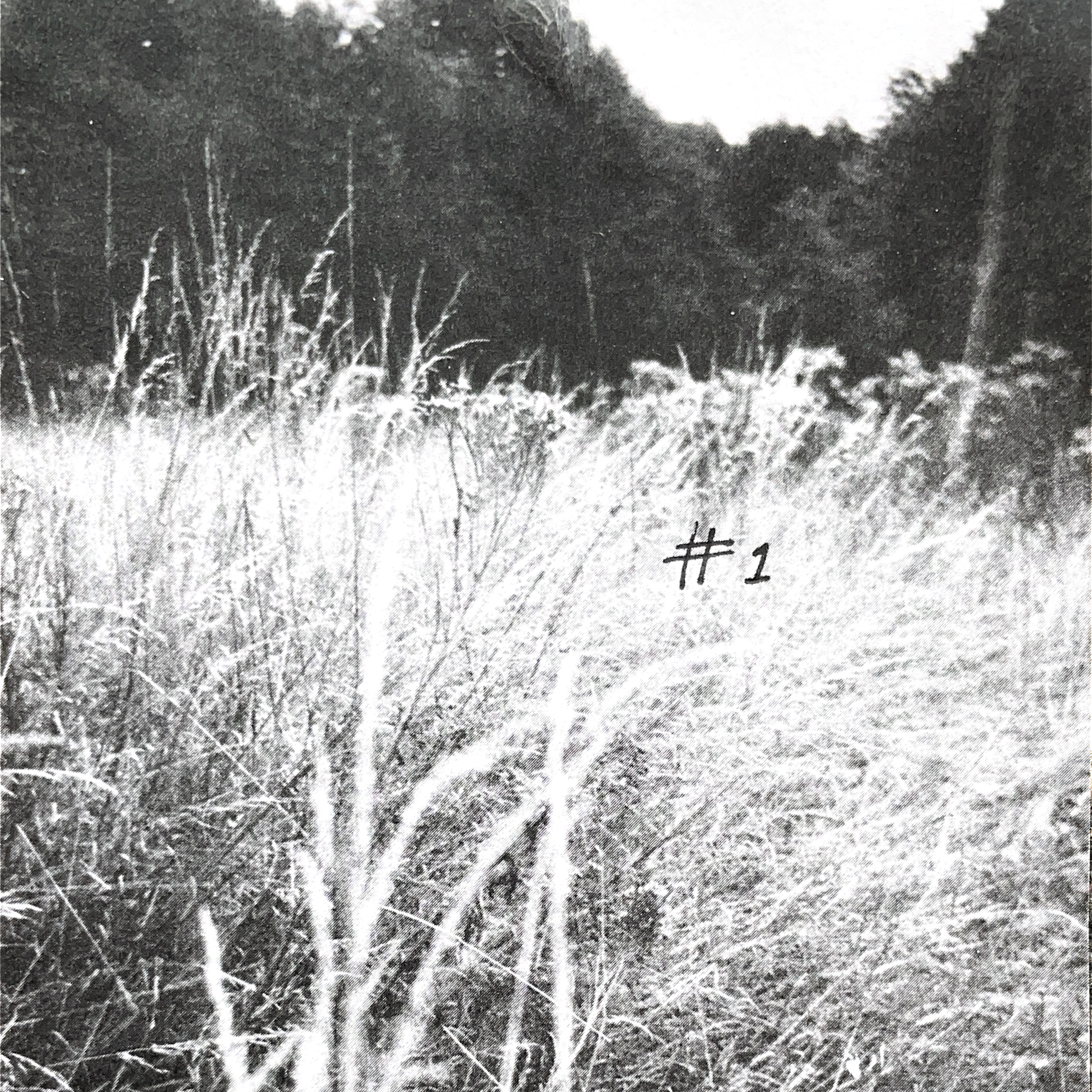 paradise lost, episode 9 show image